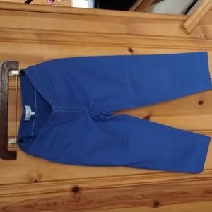 Talbots size 4p blue pants